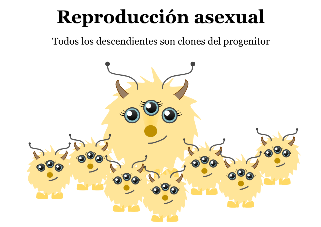 Reproduction