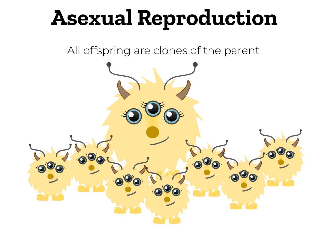 Reproduction