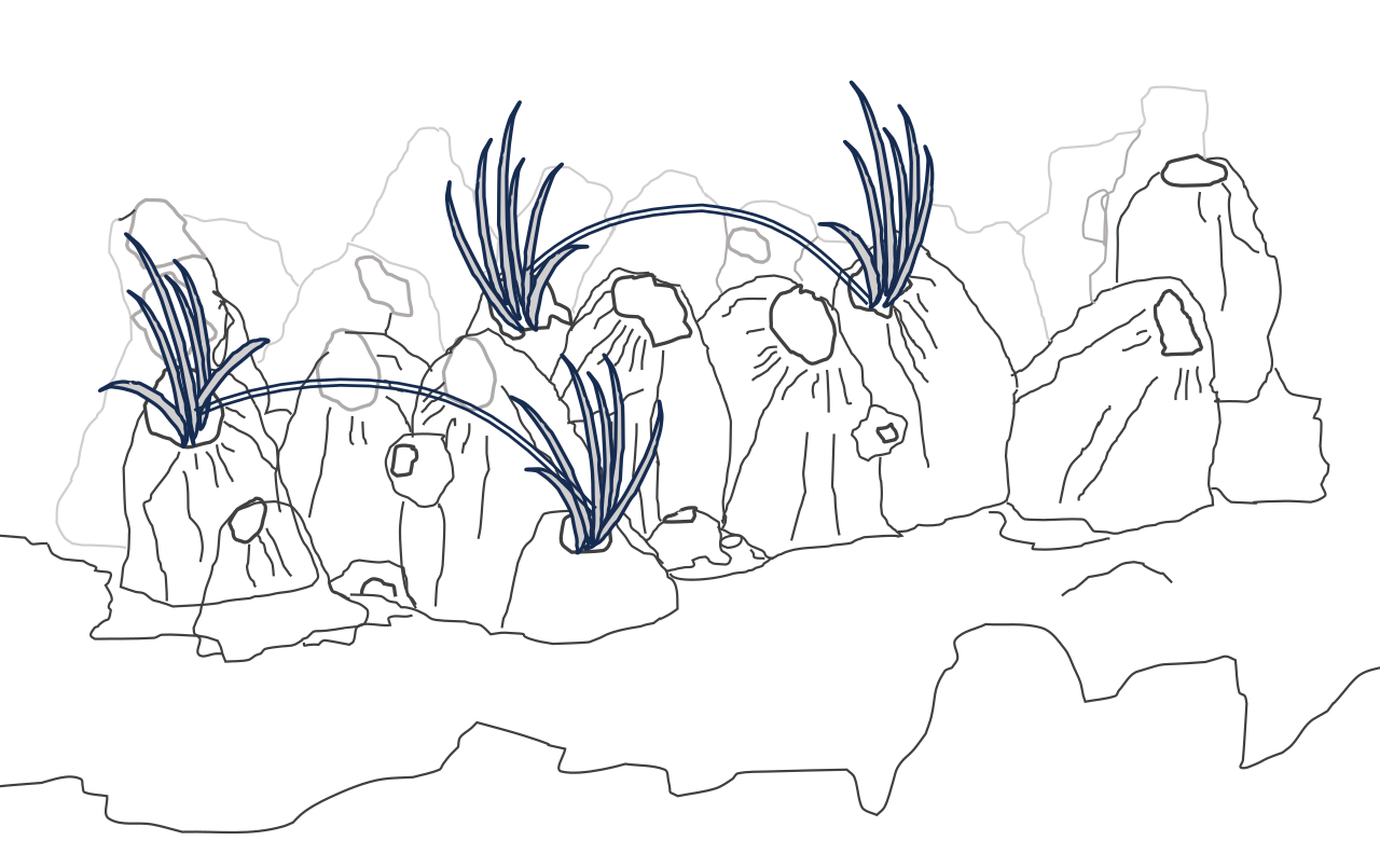 Sexual reproduction