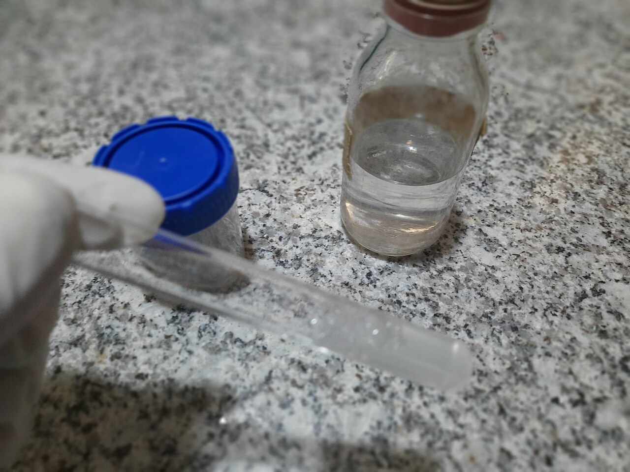 Sperm