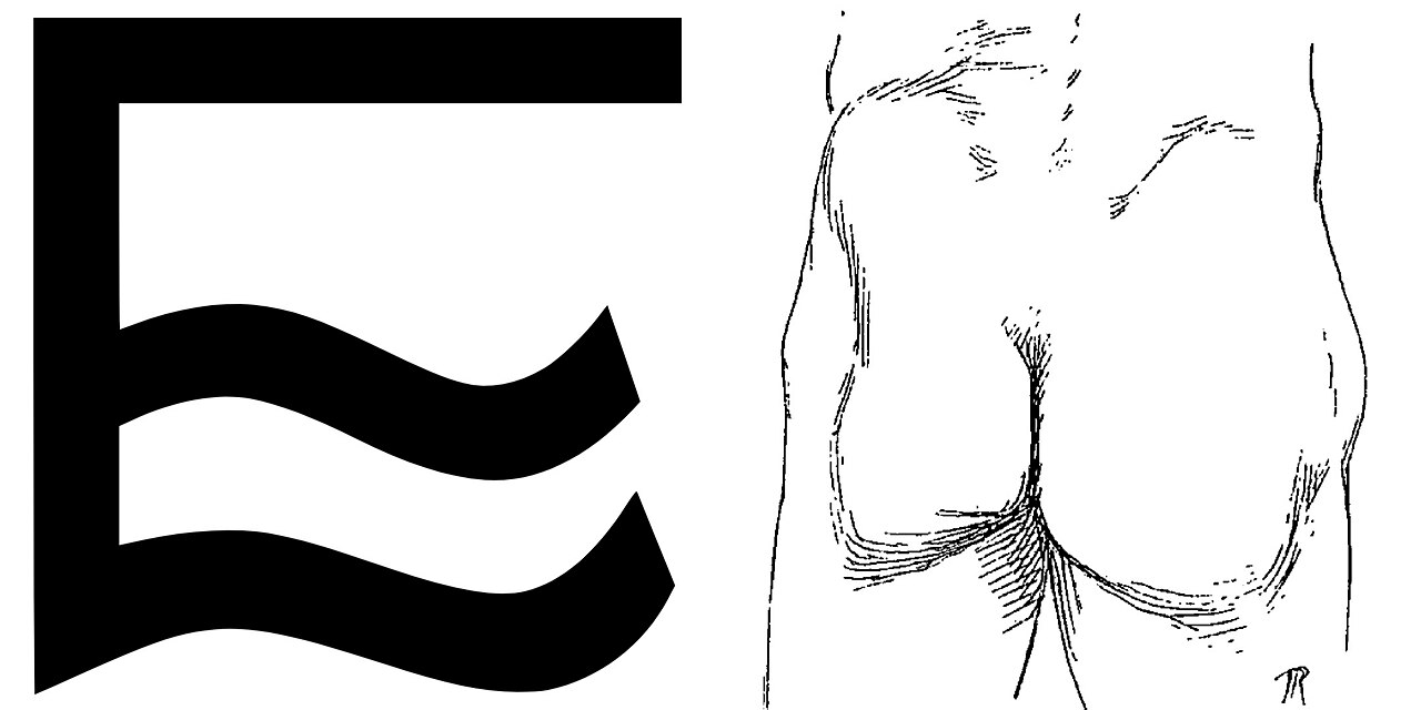 Uterus
