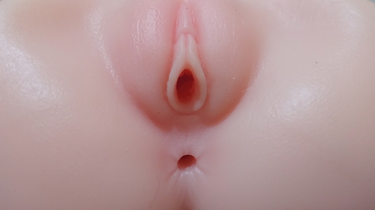 Vagina